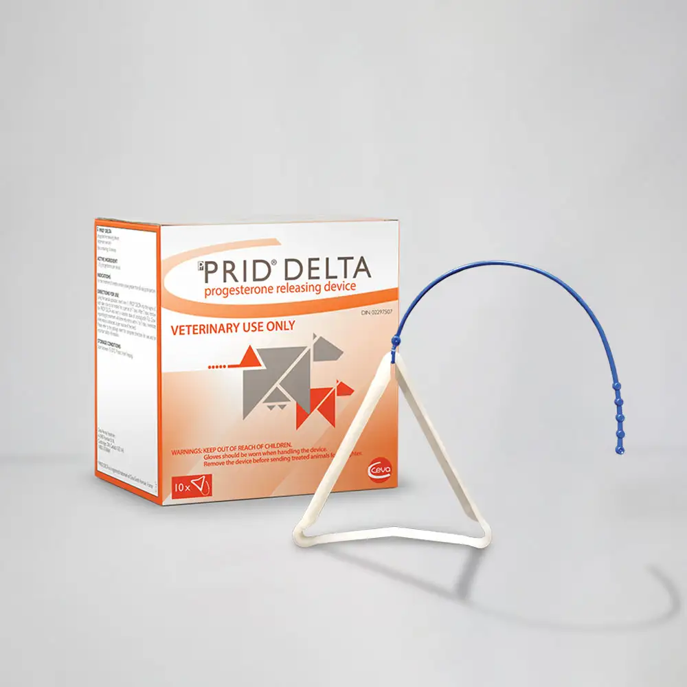 Prid Delta