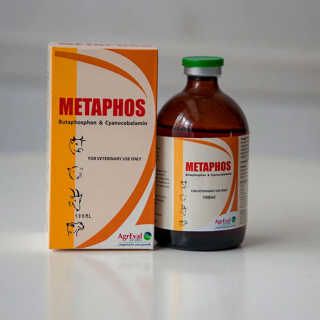 Metaphos