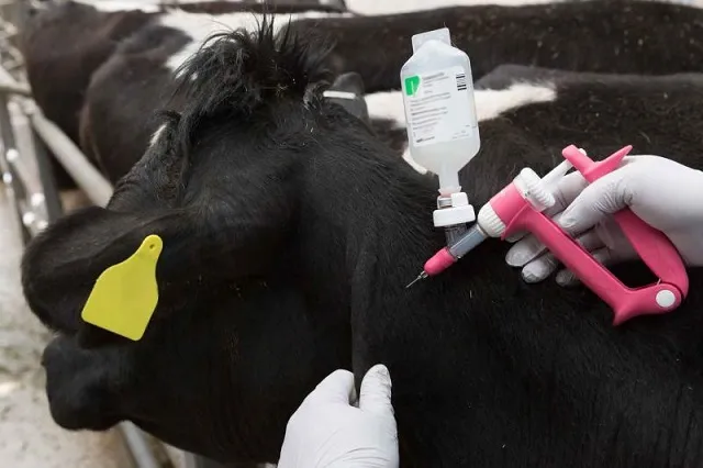 Supporting Farmers and Livestock